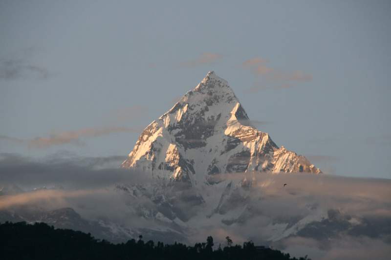 India & Nepal 2011 - 0486